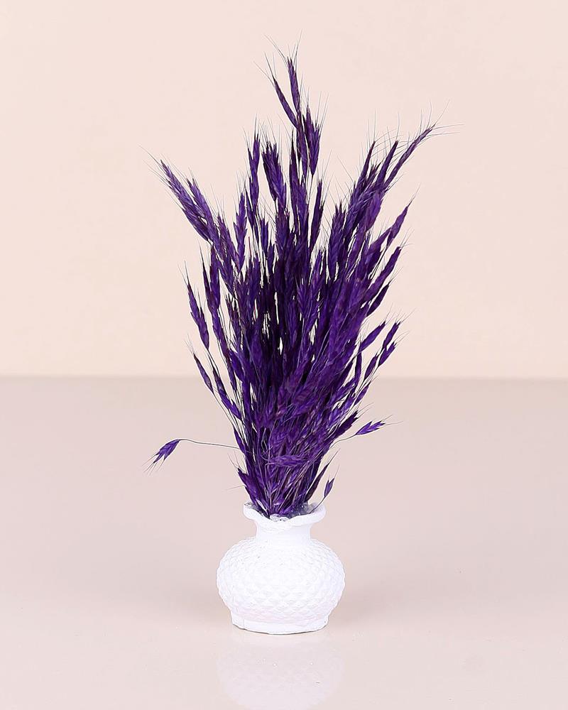 Mini Saksılı Tüylü Çiçek