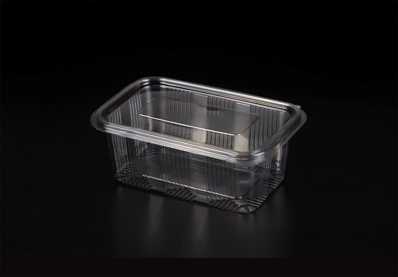Plastik Sızdırmaz 1000 cc Kapaklı Kap L-110