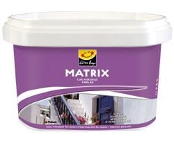 Polisan X1 Anti Aging Kokusuz Parlak A Baz 2,5 Lt