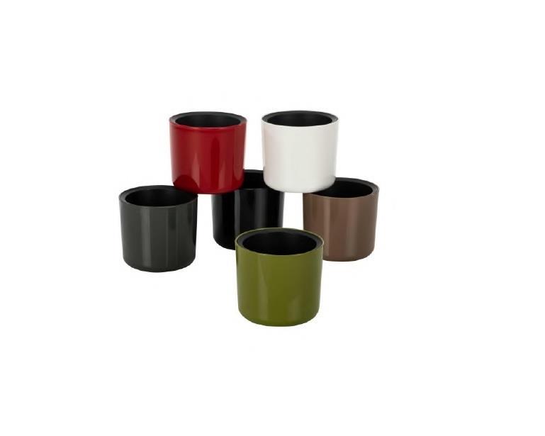 POLİWORKPoliwork Kaktüs Saksı Mimoza 9 cm Mix