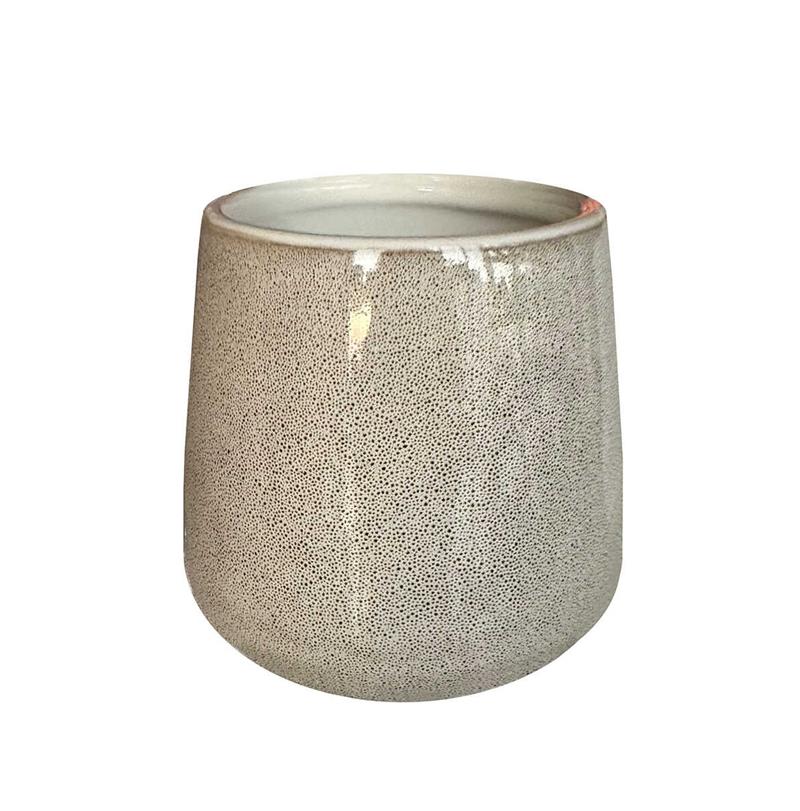 PRİMANOVAPrimanova Bjorn Diş Fırçalık