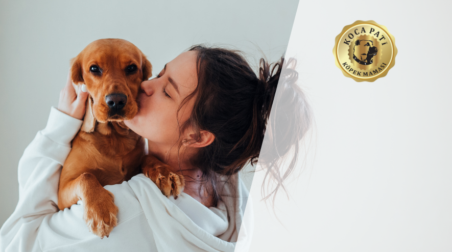 Super Premium Plus Puppy Dog Food