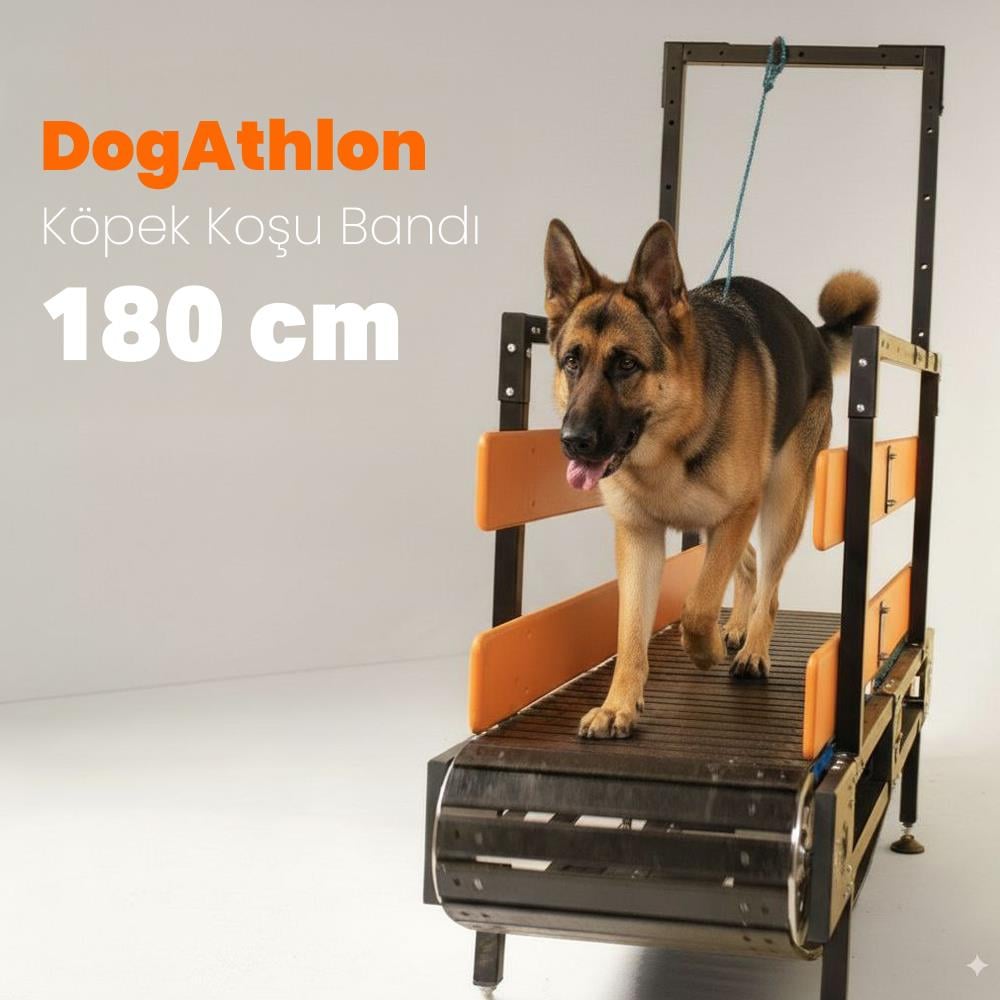 DogAthlon Köpek Koşu Bandı – 180 cm