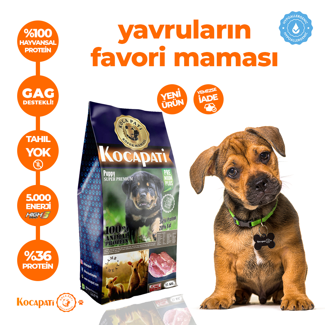 Kocapati | Türkiye'nin En İyi ve Kaliteli Yerli Köpek Maması Üreticisi