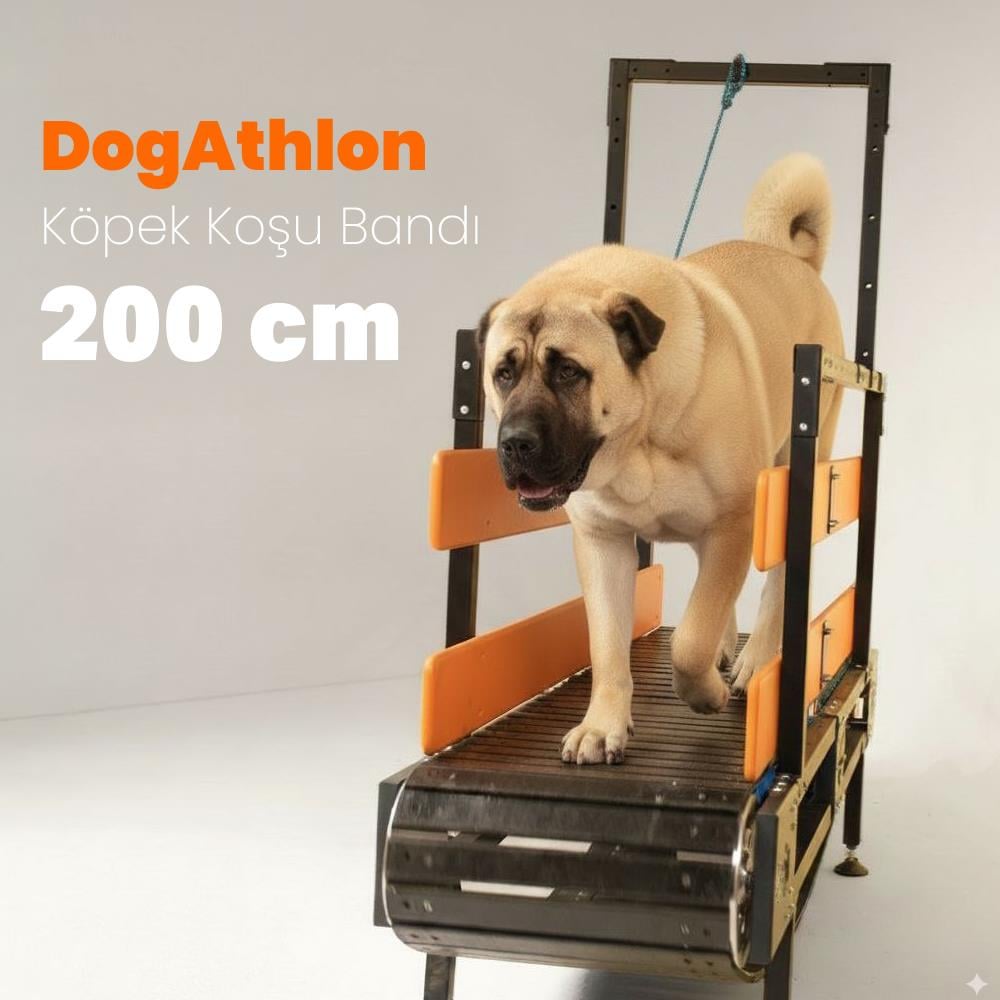 DogAthlon Köpek Koşu Bandı – 200 cm
