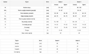 CAT II Invento™ Ayakta Dik Pozisyonlandırma Cihazı