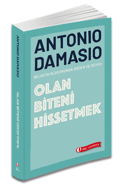 Olan Biteni Hissetmek