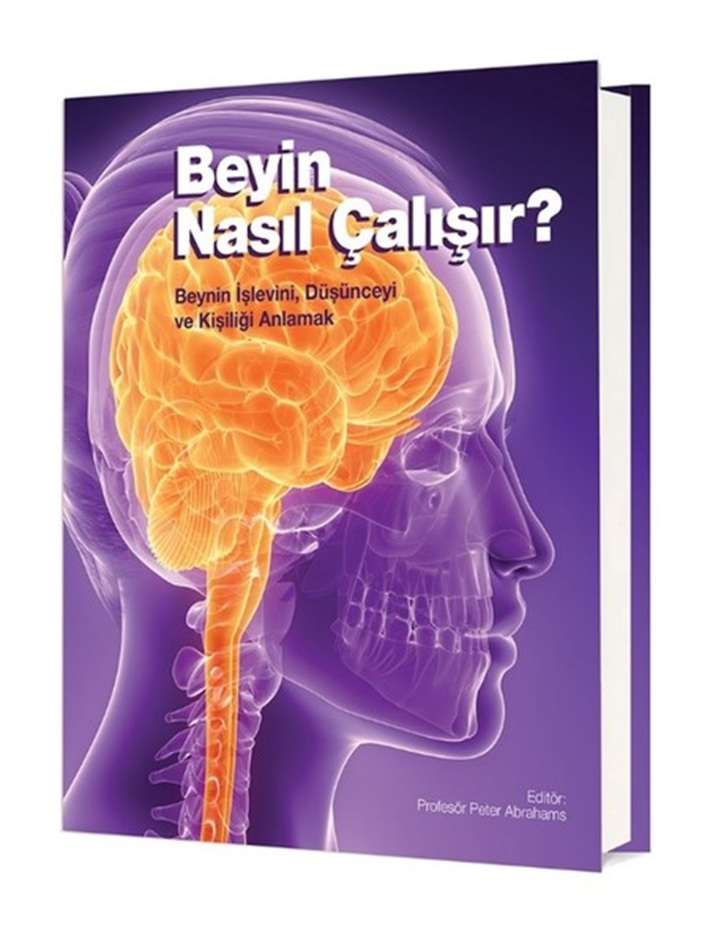 Beyin Nasıl Çalışır? 