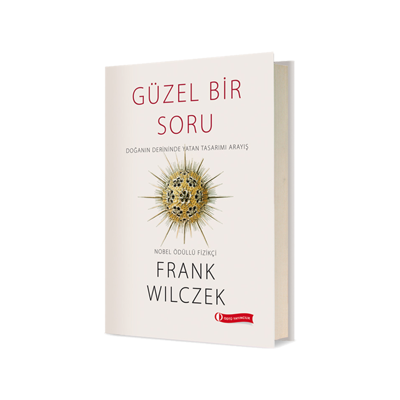 Güzel Bir Soru