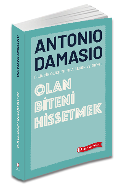 Olan Biteni Hissetmek