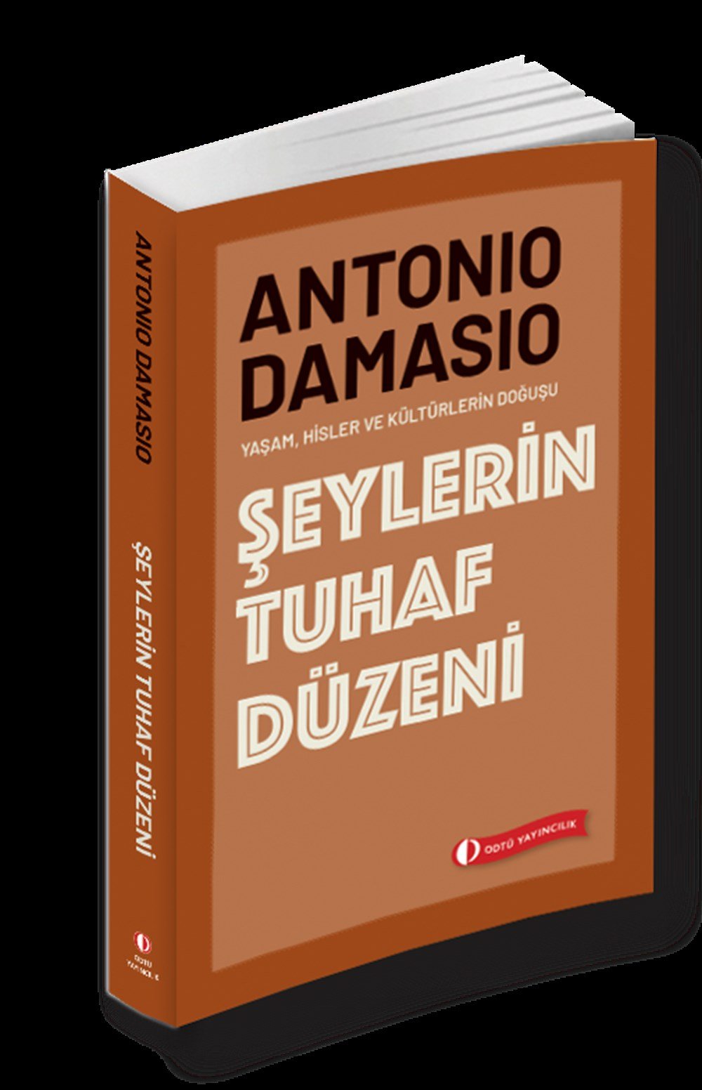 Şeylerin Tuhaf Düzeni