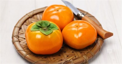 Fuyu ( Çikolatalı) Trabzon Hurma Fidanı