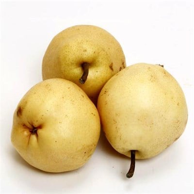 Deveci Armut Fidanı