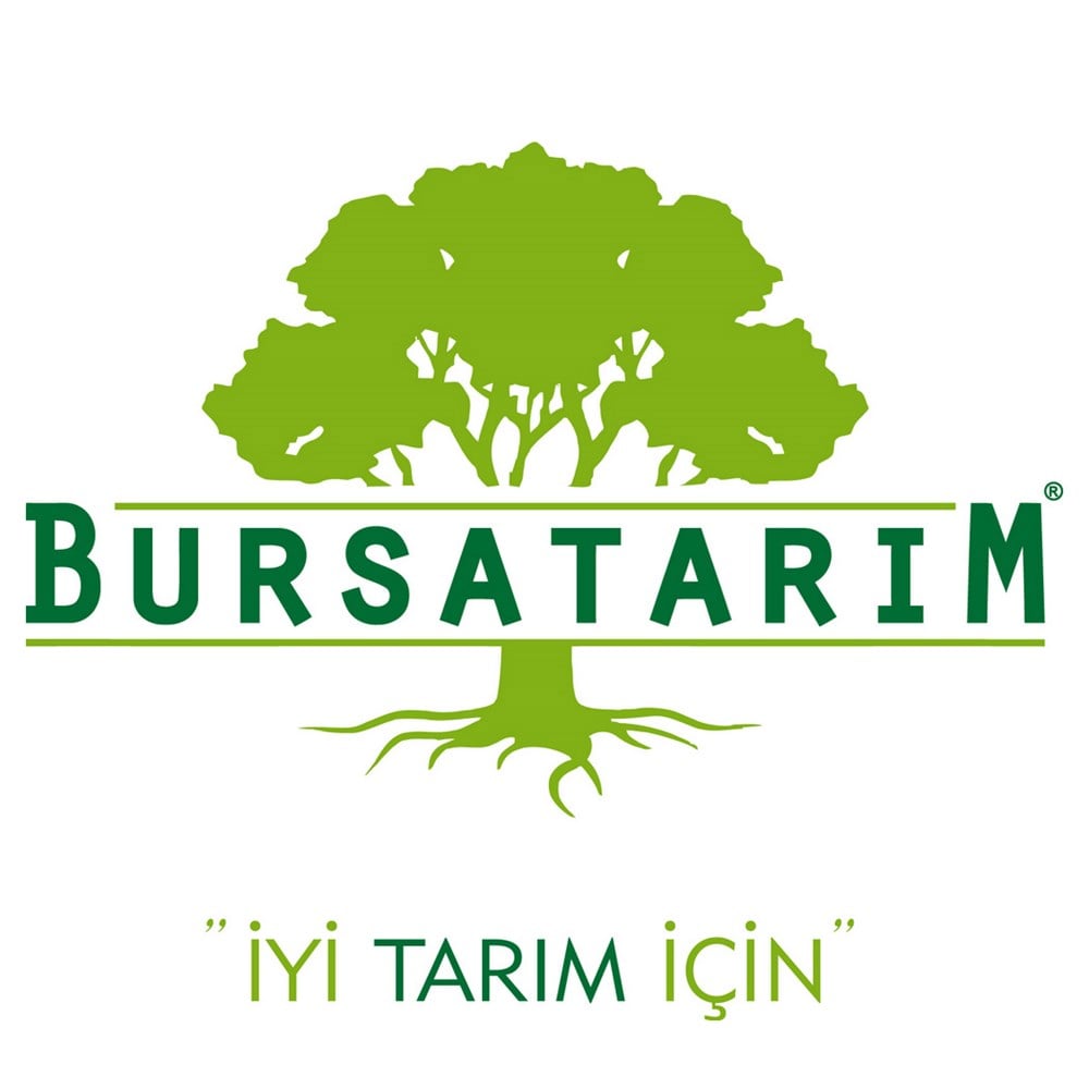 Alışverişsiz Cari Ödeme