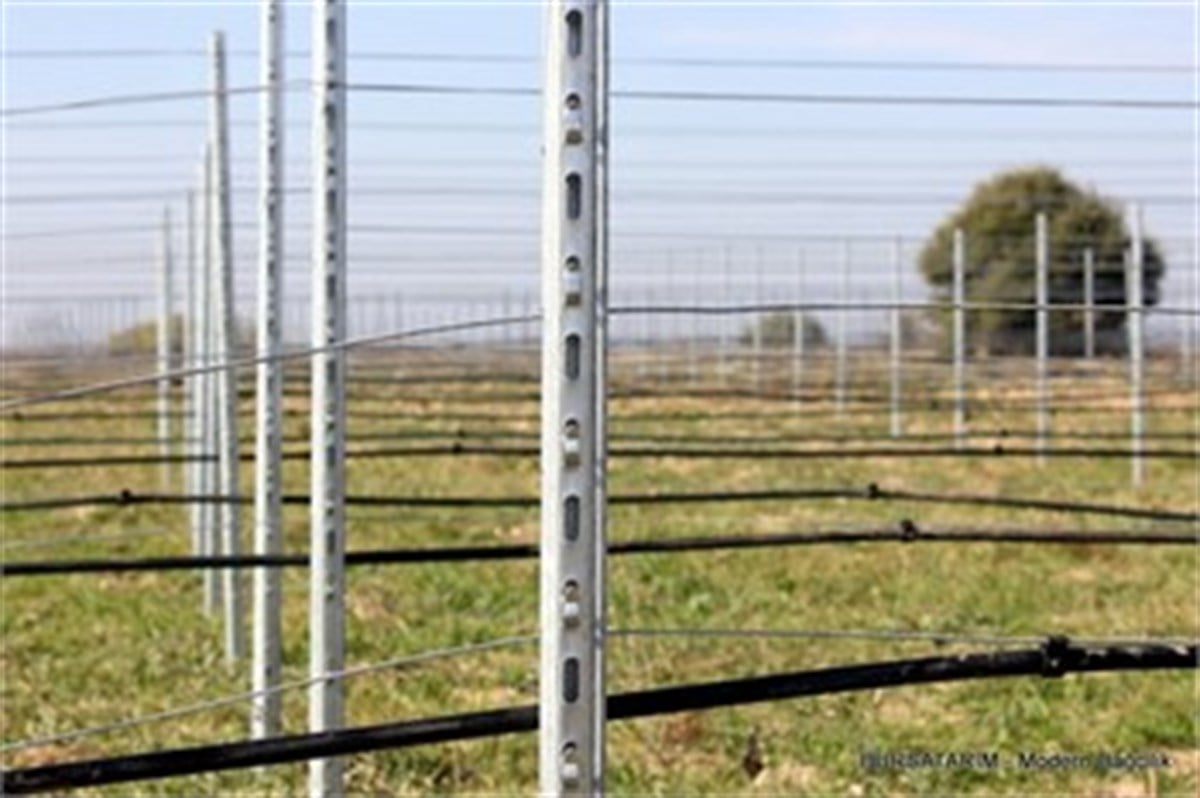 Ara Direk ( P5M Profil Alsace) 250cm