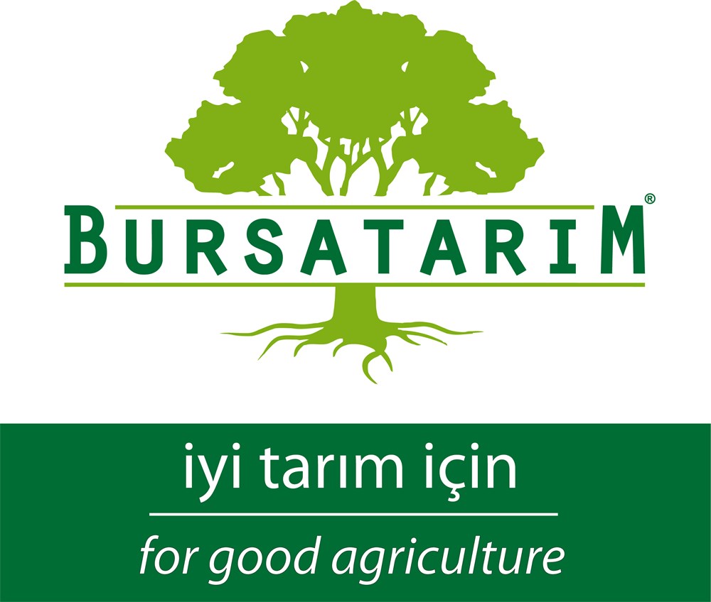 BURSATARIMMaraval Kestane Aşı Kalemi