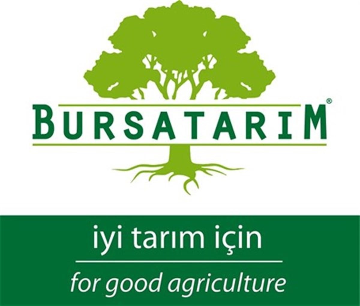 Ferraduel Badem Aşı Kalemi