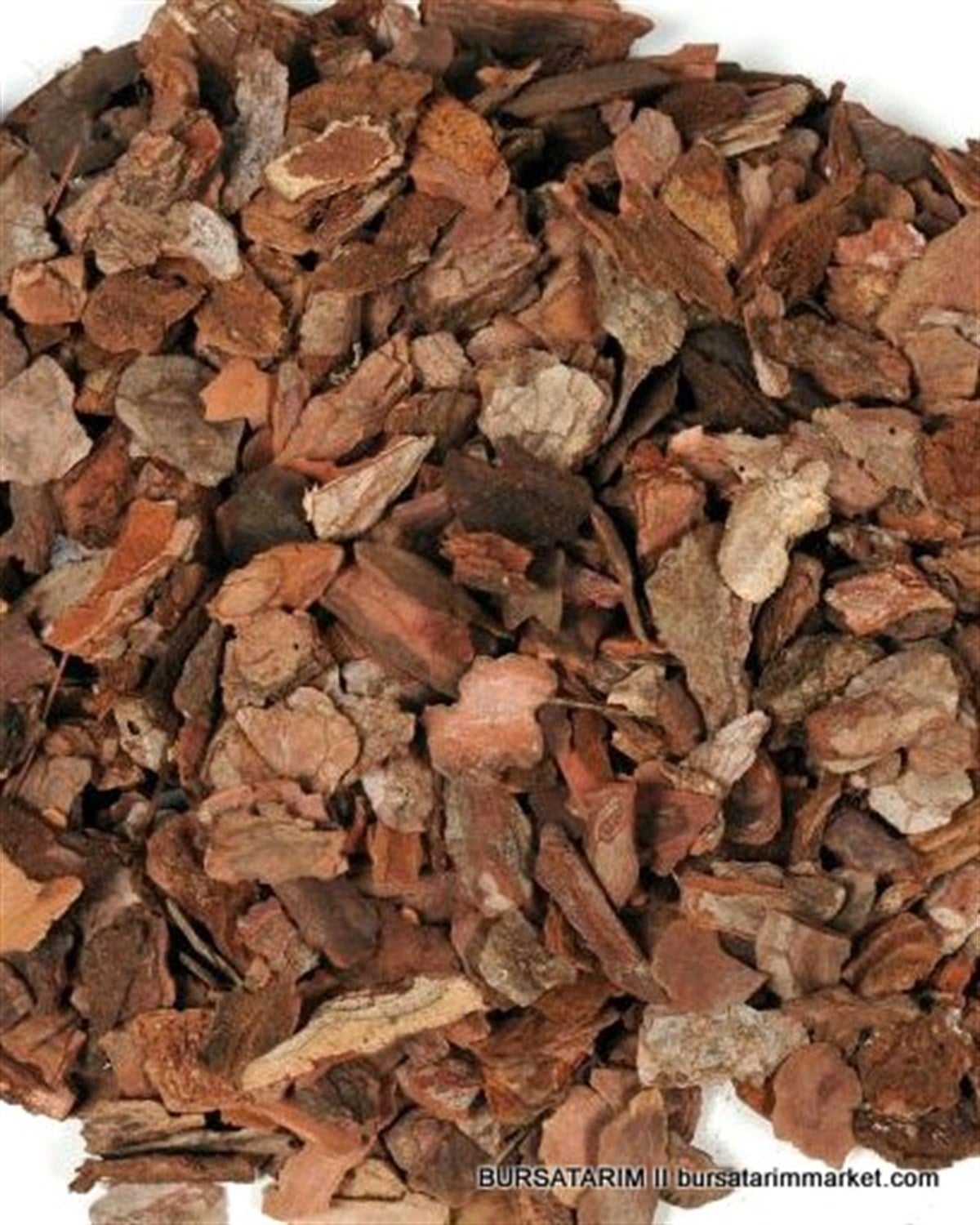 Standart Çam Kabuğu