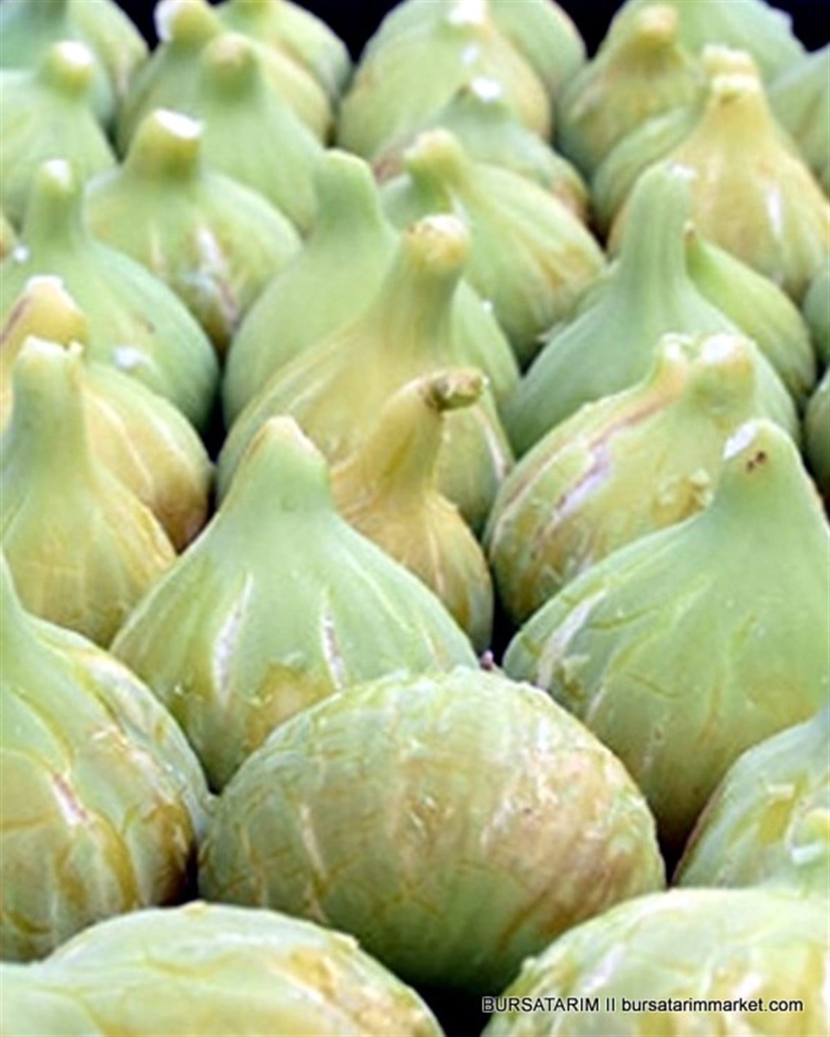 BURSATARIMSarı Bardak İncir Fidanı