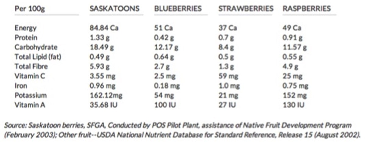 Saskatoon Berry Northline