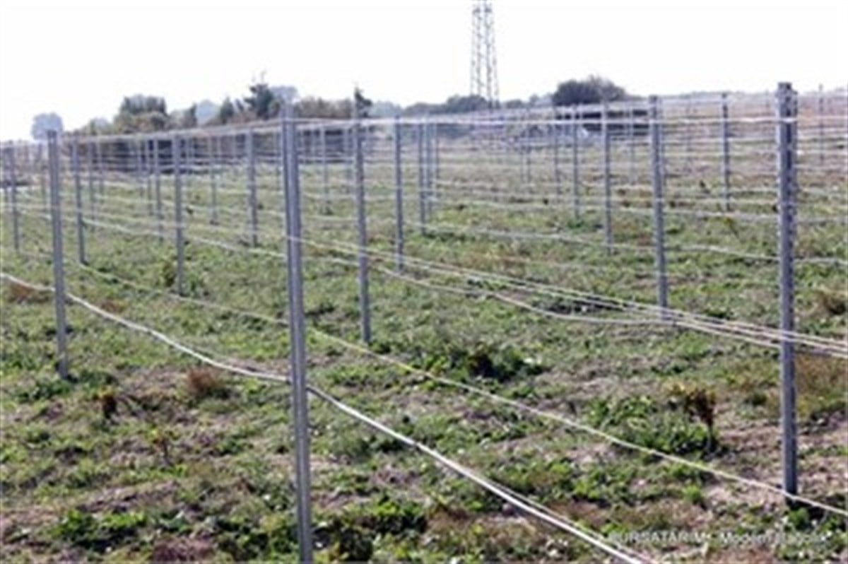 Galvanizli Tel 4,00mm ( Bağ teli ) 