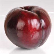 Black Diamond Erik Fidanı