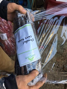 Chandler Ceviz Aşı Kalemi