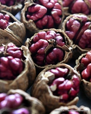 Kırmızı Ceviz Fidanı