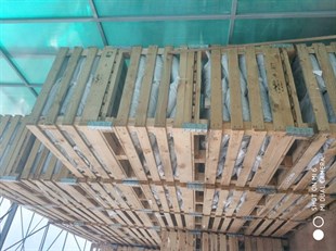 Öğütülmüş Çam Kabuğu Küçük Parçalı  8kg