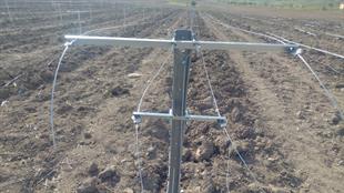 Baş Te Kolu - 100cm - 4mm