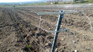 Baş Te Kolu - 70cm - 4mm