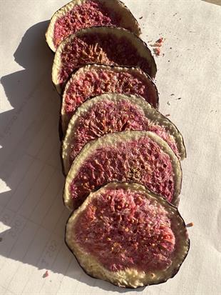 FRUTZ (200GR) - Siyah İncir