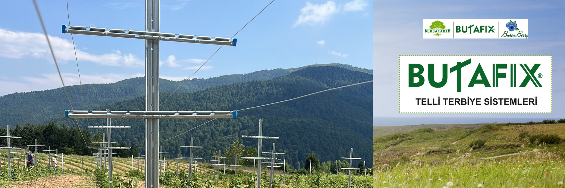 BUTAFIX | Telli Terbiye Ürünleri