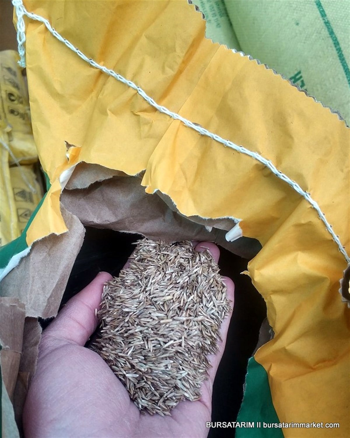 BURSATARIMÇim Tohumu 10KG 