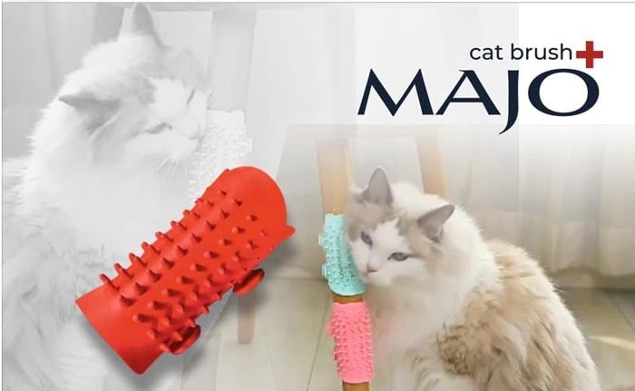 Kedi Kaşınma Aparatı