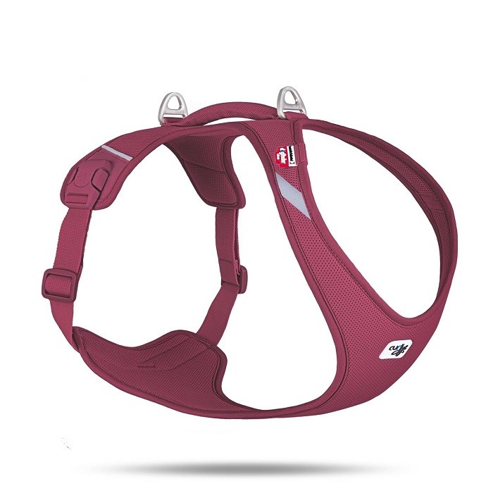 PN3414-CURLI BELKA HARNESS AIR-MESH RUBY 4XL