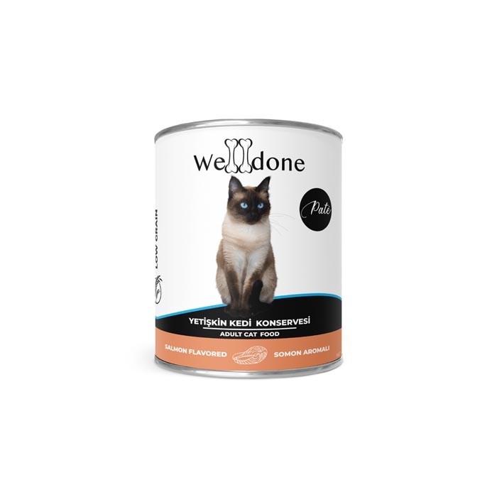 Welldone 400gr Kedi Somonlu
