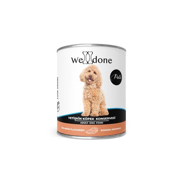 Welldone 400gr Köpek Somonlu