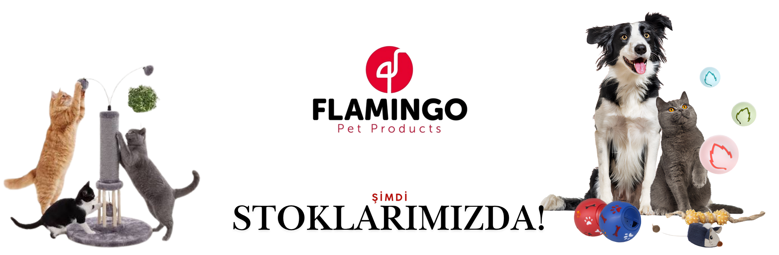 Flamingo pet