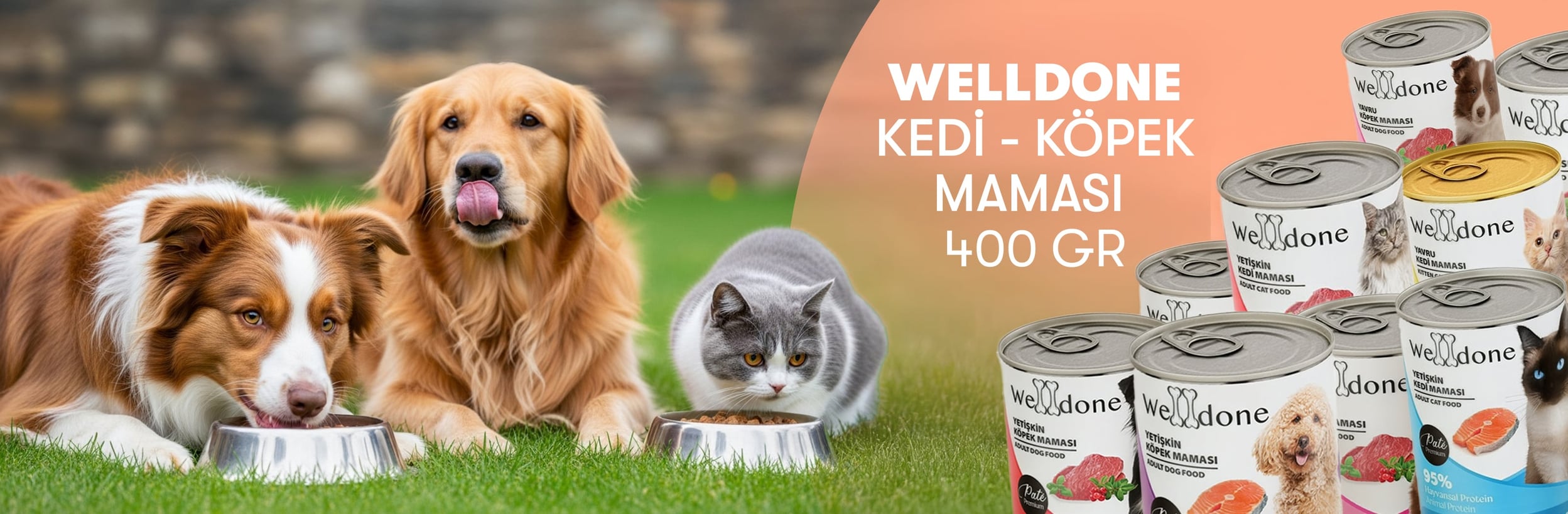 Welldone Yaş Mama Çeşitleri