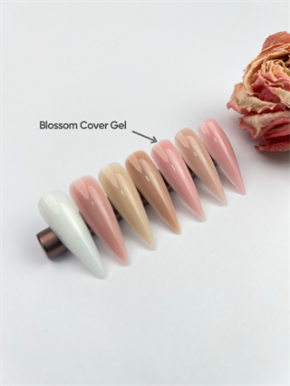 Cold & Fast Gel Blossom 50 ml