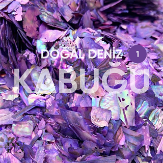 Doğal Deniz Kabuğu Mor (1) 1 gr