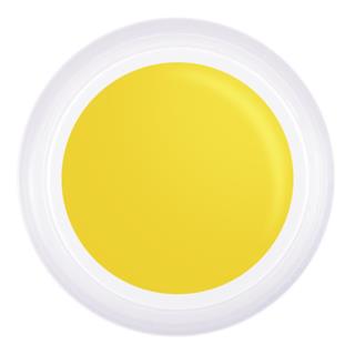 Jel boya Sarı T10 Stamping & Ombree & Çizim 5 gr