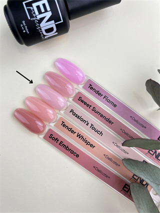 Kalıcı oje Delicate serisi 15 ml Passions Touch