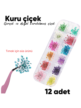 Kuru Çiçek kutusu