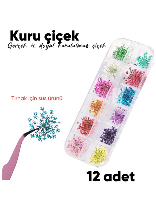 Kuru Çiçek kutusuEndi ProfessionalKuru çiçeklerKuru Çiçek kutusu
