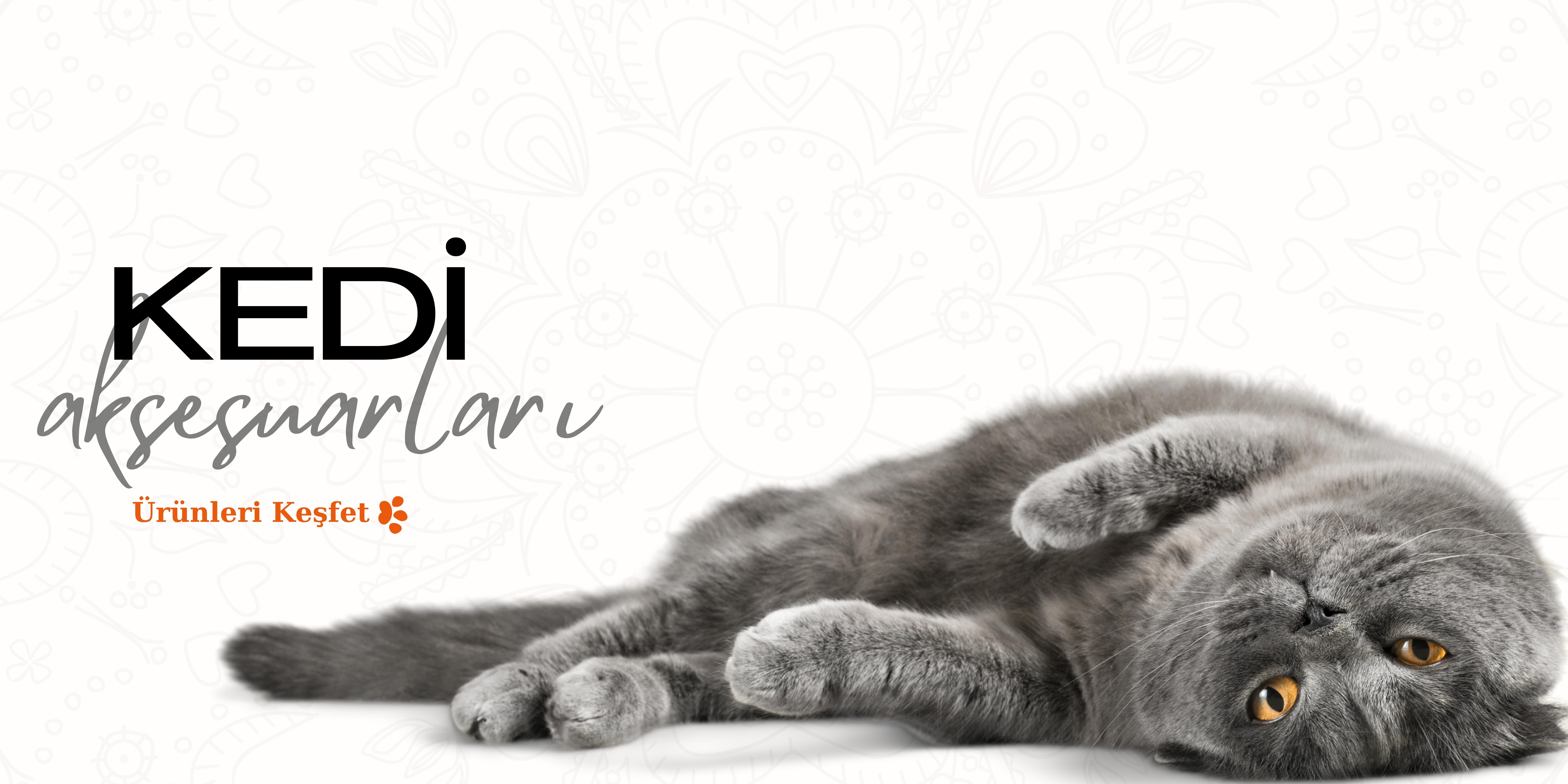 Kedi Aksesuarları