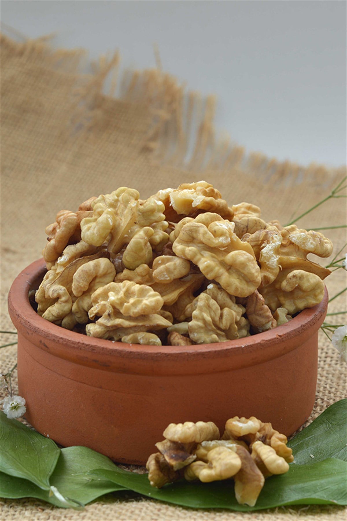 Ceviz İçi (500g)