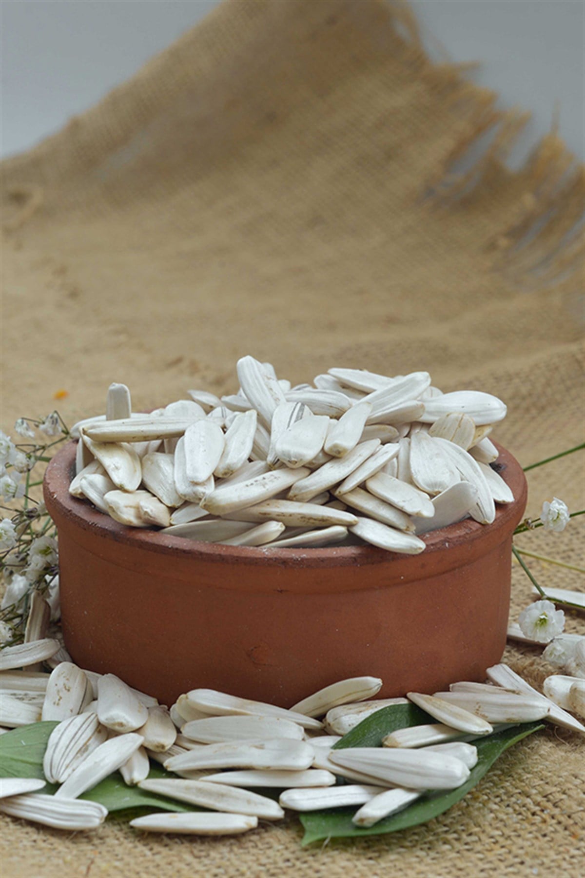Beyaz Çiğ Çekirdek (500g)