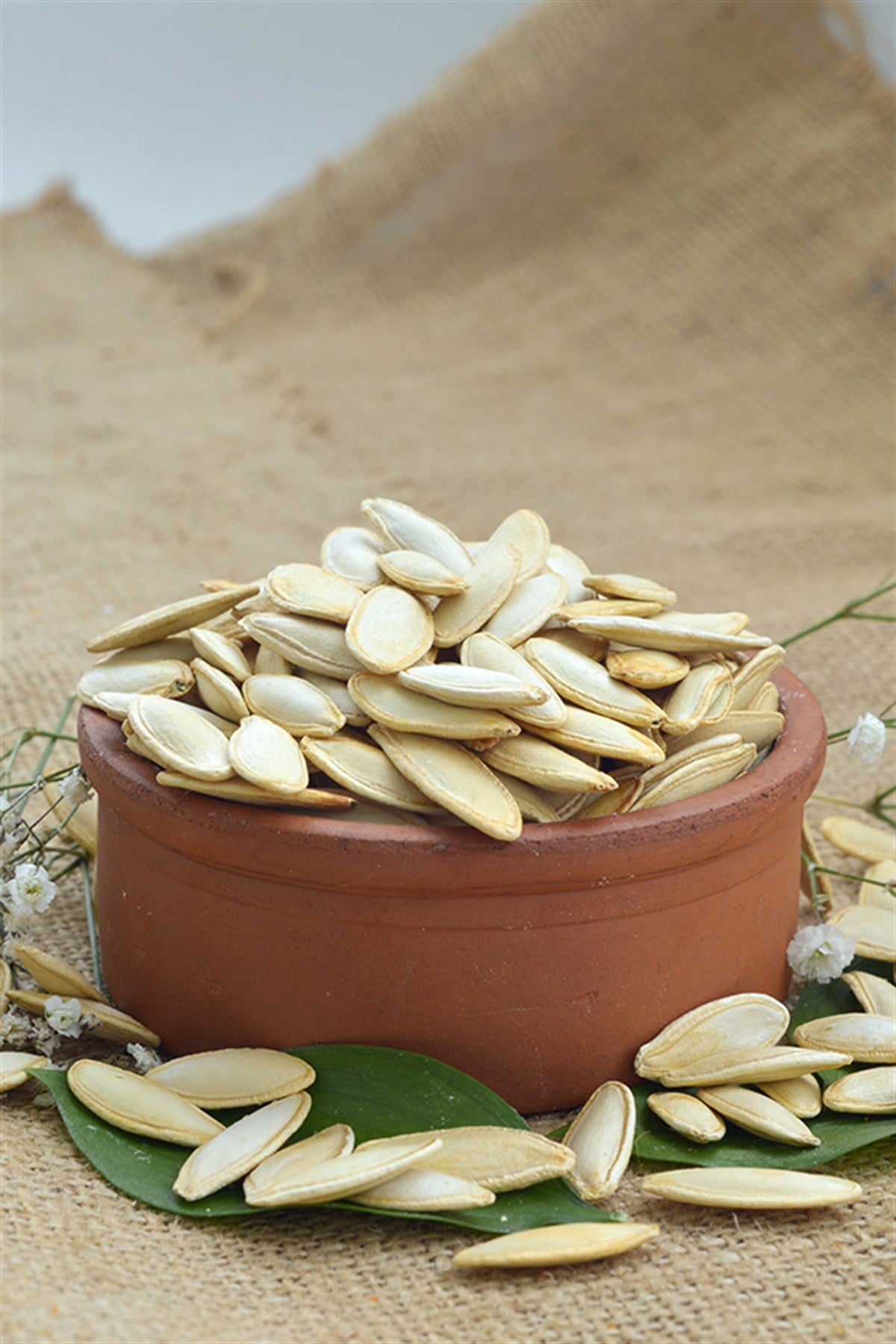 Tuzsuz Kabak Çekirdeği (500g)